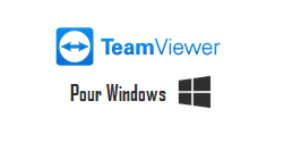 Télécharger TeamViewer pour Windows 